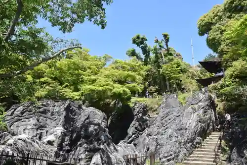 石山寺の自然