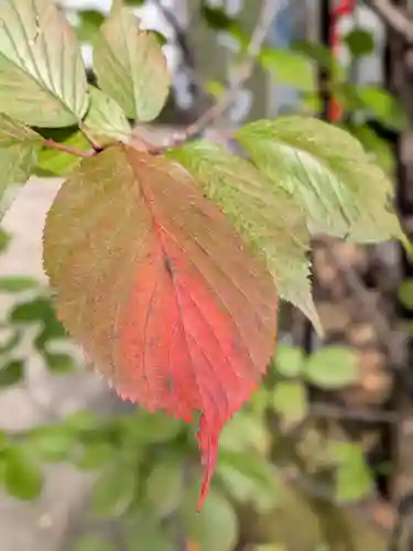 鳩森八幡神社(東京都)