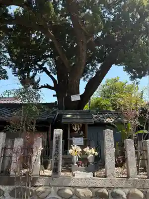 龍蔵寺(愛知県)