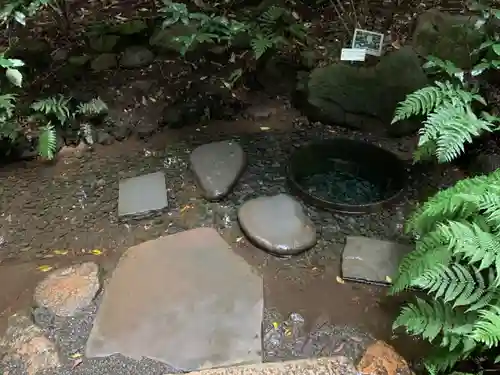 明治神宮の庭園