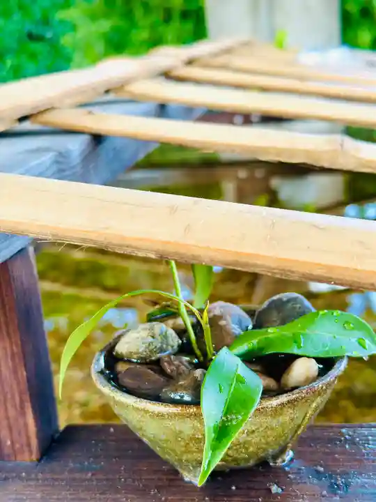 福井神社(福井県)