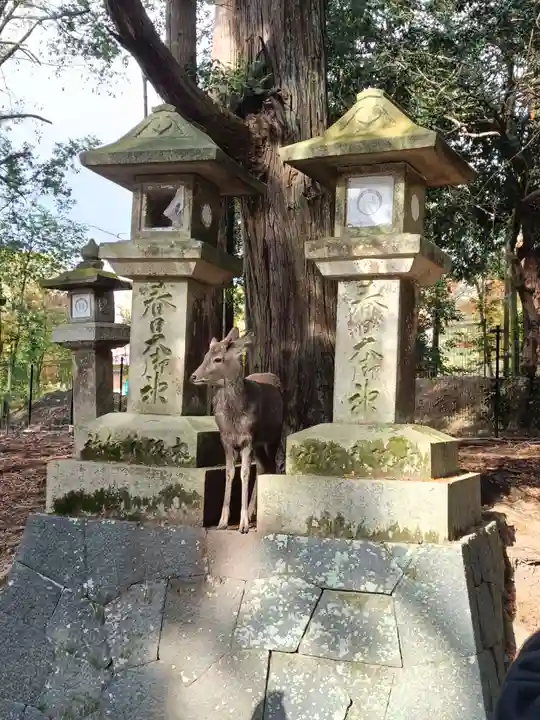 春日大社(奈良県)