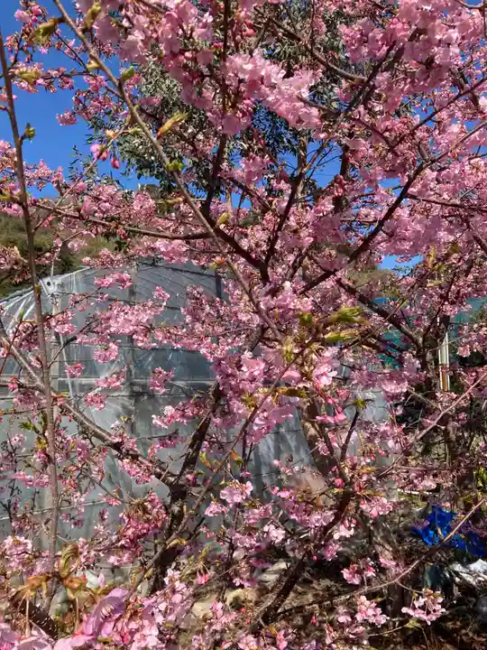 稲荷神社の自然