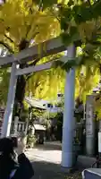波除神社(波除稲荷神社)の鳥居