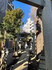 高円寺氷川神社の鳥居