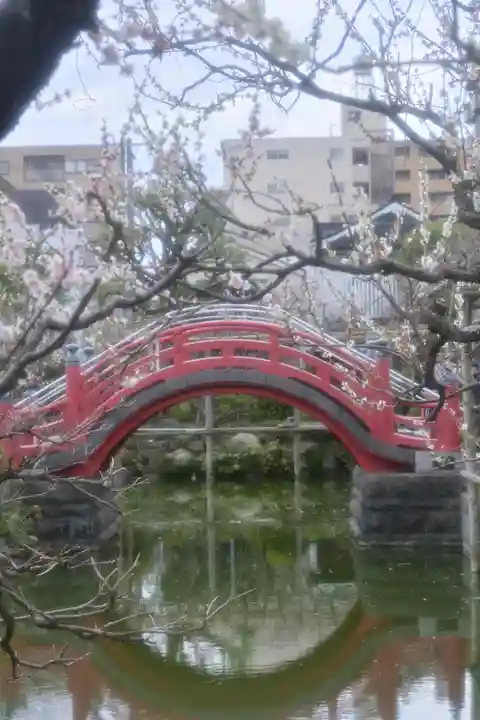 亀戸天神社(東京都)