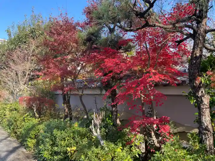 円常院(圓常院) enjoyntemple(京都府)