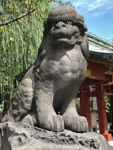 浅草神社の狛犬