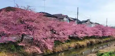 鷲宮神社(埼玉県)