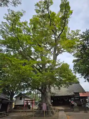 白鳥神社(長野県)