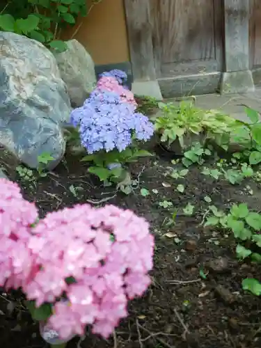 青龍山 吉祥寺(群馬県)