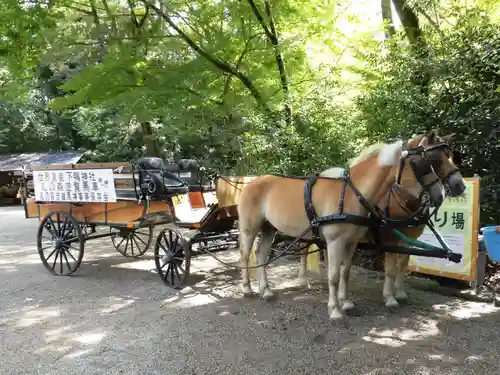 賀茂御祖神社（下鴨神社）の動物