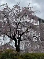 櫻木神社(千葉県)