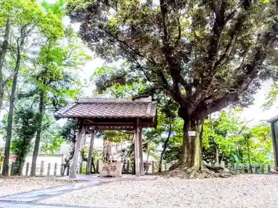 八幡社（渡内八幡社）の手水舎