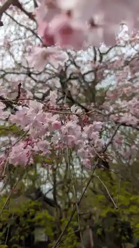 松ヶ崎大黒天 妙圓寺（妙円寺）(京都府)