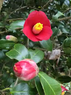 圓教寺(兵庫県)