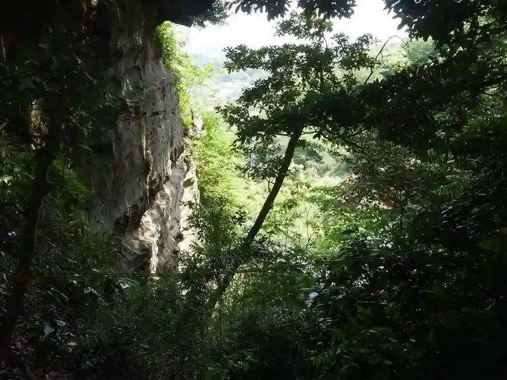 葛原岡神社の自然