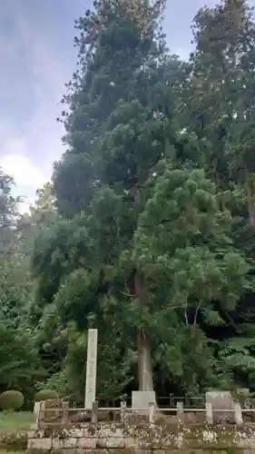 妙義神社(群馬県)