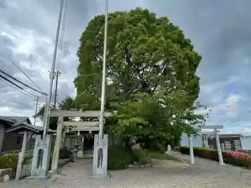 野村神社の{uncategorized: "未分類", other: "その他", undefined: "問題あり", building: "その他建物", grave: "お墓", sacred_gate: "鳥居", guardian: "狛犬", statue: "像", buddha: "仏像", history: "歴史", nature: "自然", garden: "庭園", animal: "動物", pagoda: "塔", temizu: "手水舎", mountain_gate: "山門・神門", sanctuary: "本殿・本堂", subordinate: "末社・摂社", art: "芸術", scenery: "景色", jizo: "地蔵", ema: "絵馬", goshuin: "御朱印", omikuji: "おみくじ", items: "授与品その他", amulet: "お守り", goshuincho: "御朱印帳", eats: "食事", festival: "お祭り", votive_dance: "神楽", shichigosan: "七五三参", wedding: "結婚式", experience: "体験その他", initially: "初詣", around: "周辺", anti_infection: "感染症対策"}