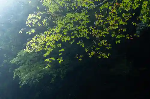 天安河原宮(宮崎県)