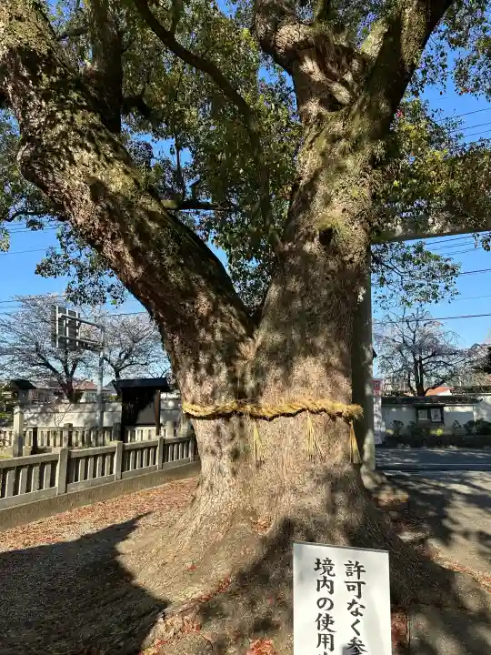 大御和神社の{uncategorized: "未分類", other: "その他", undefined: "問題あり", building: "その他建物", grave: "お墓", sacred_gate: "鳥居", guardian: "狛犬", statue: "像", buddha: "仏像", history: "歴史", nature: "自然", garden: "庭園", animal: "動物", pagoda: "塔", temizu: "手水舎", mountain_gate: "山門・神門", sanctuary: "本殿・本堂", subordinate: "末社・摂社", art: "芸術", scenery: "景色", jizo: "地蔵", ema: "絵馬", goshuin: "御朱印", omikuji: "おみくじ", items: "授与品その他", amulet: "お守り", goshuincho: "御朱印帳", eats: "食事", festival: "お祭り", votive_dance: "神楽", shichigosan: "七五三参", wedding: "結婚式", experience: "体験その他", initially: "初詣", around: "周辺", anti_infection: "感染症対策"}