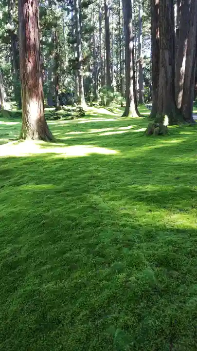 平泉寺白山神社のその他建物