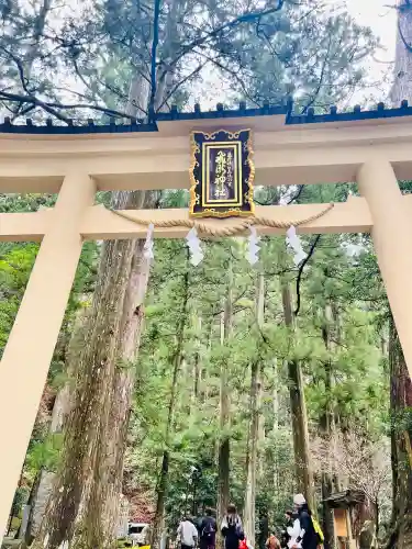 飛瀧神社（熊野那智大社別宮）の{uncategorized: "未分類", other: "その他", undefined: "問題あり", building: "その他建物", grave: "お墓", sacred_gate: "鳥居", guardian: "狛犬", statue: "像", buddha: "仏像", history: "歴史", nature: "自然", garden: "庭園", animal: "動物", pagoda: "塔", temizu: "手水舎", mountain_gate: "山門・神門", sanctuary: "本殿・本堂", subordinate: "末社・摂社", art: "芸術", scenery: "景色", jizo: "地蔵", ema: "絵馬", goshuin: "御朱印", omikuji: "おみくじ", items: "授与品その他", amulet: "お守り", goshuincho: "御朱印帳", eats: "食事", festival: "お祭り", votive_dance: "神楽", shichigosan: "七五三参", wedding: "結婚式", experience: "体験その他", initially: "初詣", around: "周辺", anti_infection: "感染症対策"}