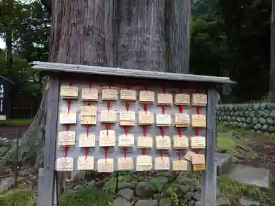 日枝神社の絵馬