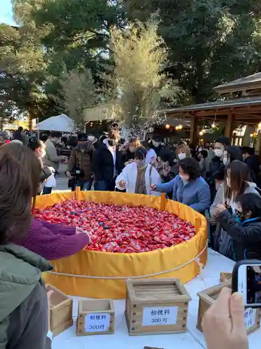 川越氷川神社のおみくじ