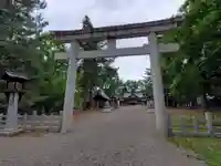 鷹栖神社の鳥居