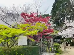 功山寺(山口県)