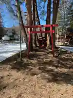 神社の{uncategorized: "未分類", other: "その他", undefined: "問題あり", building: "その他建物", grave: "お墓", sacred_gate: "鳥居", guardian: "狛犬", statue: "像", buddha: "仏像", history: "歴史", nature: "自然", garden: "庭園", animal: "動物", pagoda: "塔", temizu: "手水舎", mountain_gate: "山門・神門", sanctuary: "本殿・本堂", subordinate: "末社・摂社", art: "芸術", scenery: "景色", jizo: "地蔵", ema: "絵馬", goshuin: "御朱印", omikuji: "おみくじ", items: "授与品その他", amulet: "お守り", goshuincho: "御朱印帳", eats: "食事", festival: "お祭り", votive_dance: "神楽", shichigosan: "七五三参", wedding: "結婚式", experience: "体験その他", initially: "初詣", around: "周辺", anti_infection: "感染症対策"}