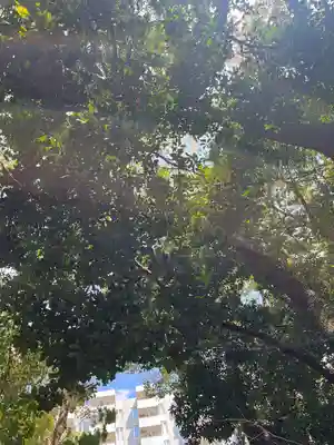 生田神社(兵庫県)