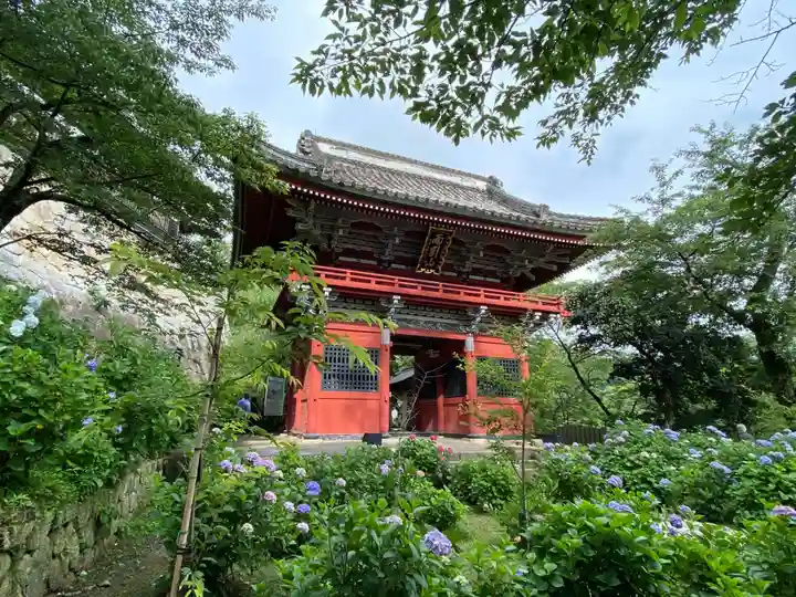 楽法寺(雨引観音)(茨城県)