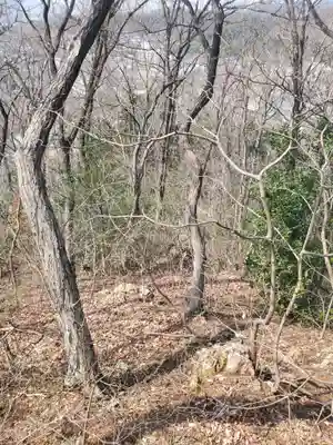 水道山神社(仮称)(栃木県)