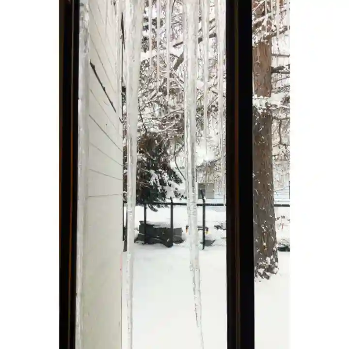 彌彦神社 (伊夜日子神社)の自然