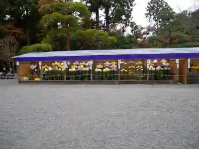 御寺 泉涌寺のその他建物