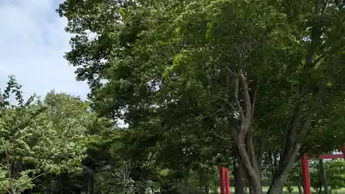 第八部落稲荷神社の自然