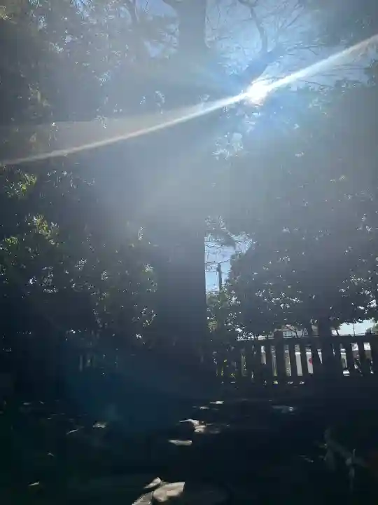 寒川神社の{uncategorized: "未分類", other: "その他", undefined: "問題あり", building: "その他建物", grave: "お墓", sacred_gate: "鳥居", guardian: "狛犬", statue: "像", buddha: "仏像", history: "歴史", nature: "自然", garden: "庭園", animal: "動物", pagoda: "塔", temizu: "手水舎", mountain_gate: "山門・神門", sanctuary: "本殿・本堂", subordinate: "末社・摂社", art: "芸術", scenery: "景色", jizo: "地蔵", ema: "絵馬", goshuin: "御朱印", omikuji: "おみくじ", items: "授与品その他", amulet: "お守り", goshuincho: "御朱印帳", eats: "食事", festival: "お祭り", votive_dance: "神楽", shichigosan: "七五三参", wedding: "結婚式", experience: "体験その他", initially: "初詣", around: "周辺", anti_infection: "感染症対策"}