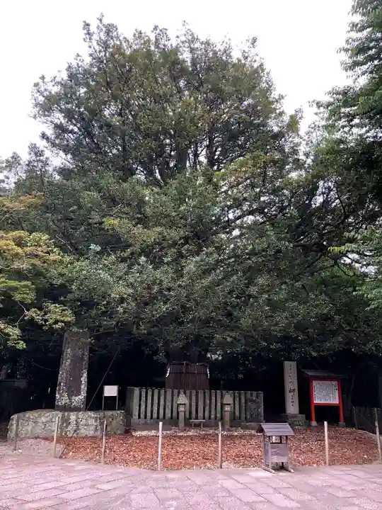 熊野速玉大社の自然