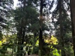 大宮温泉神社(栃木県)(2023年07月07日(金) 11時39分14秒投稿)