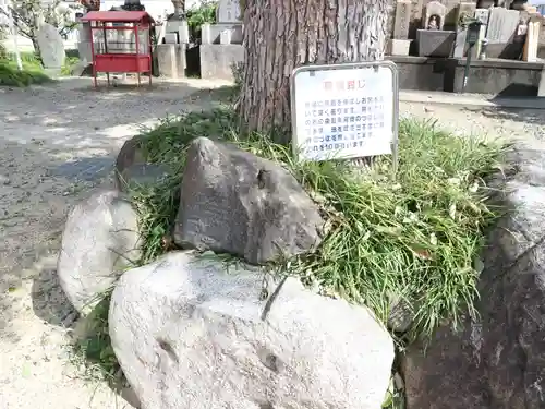 愛染堂勝鬘院のその他建物