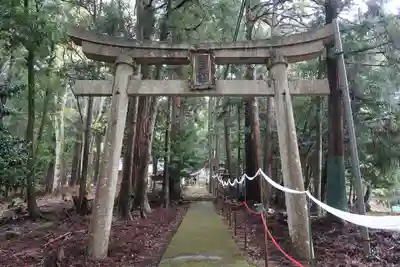 熊野神社(福井県)