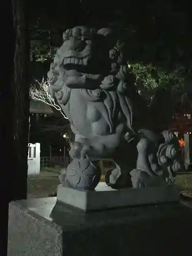 新琴似神社の狛犬