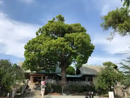 伊勢原大神宮の{uncategorized: "未分類", other: "その他", undefined: "問題あり", building: "その他建物", grave: "お墓", sacred_gate: "鳥居", guardian: "狛犬", statue: "像", buddha: "仏像", history: "歴史", nature: "自然", garden: "庭園", animal: "動物", pagoda: "塔", temizu: "手水舎", mountain_gate: "山門・神門", sanctuary: "本殿・本堂", subordinate: "末社・摂社", art: "芸術", scenery: "景色", jizo: "地蔵", ema: "絵馬", goshuin: "御朱印", omikuji: "おみくじ", items: "授与品その他", amulet: "お守り", goshuincho: "御朱印帳", eats: "食事", festival: "お祭り", votive_dance: "神楽", shichigosan: "七五三参", wedding: "結婚式", experience: "体験その他", initially: "初詣", around: "周辺", anti_infection: "感染症対策"}