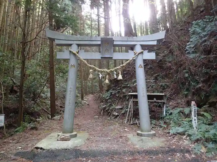 島大国魂神社の鳥居