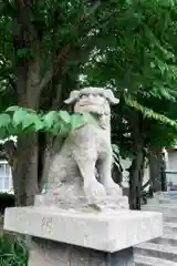 豊足神社の狛犬