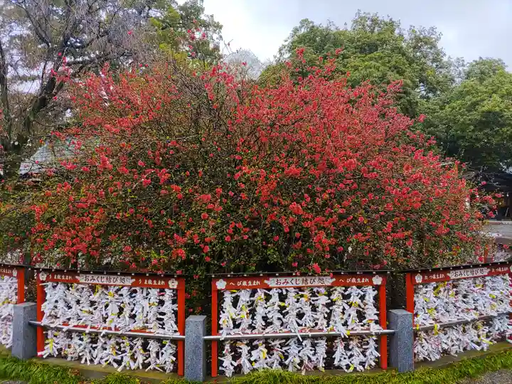 冠稲荷神社(群馬県)