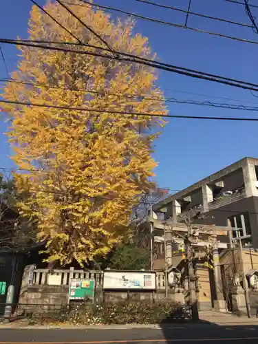 小野照崎神社の鳥居
