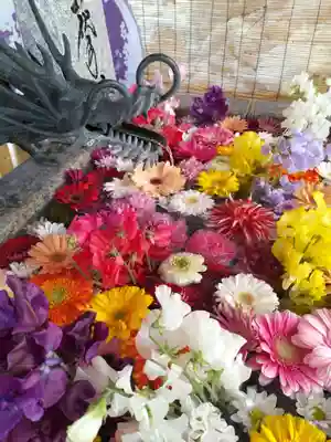 札幌諏訪神社の手水舎